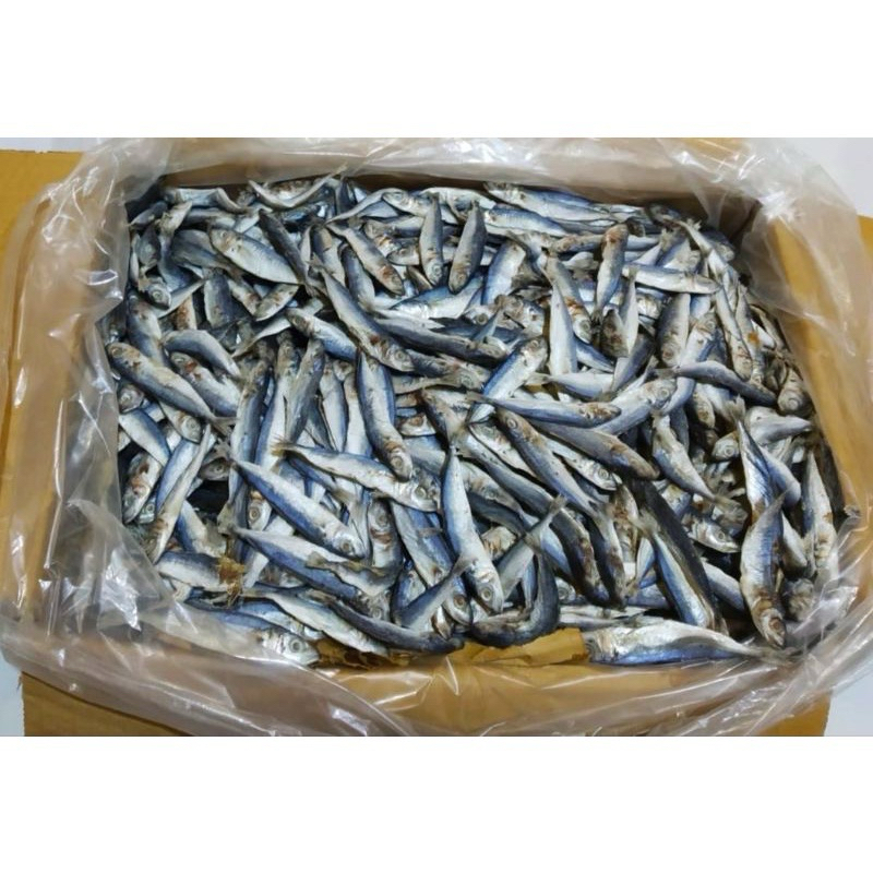 

Ikan Asin Asli Madura Termurah Produk Berkualitas dan enak dimakan