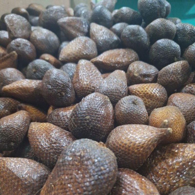 

Salak Pondoh