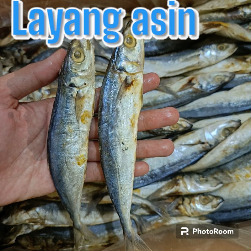

LAYANG ASIN/ PEDA LAYANG 1KG TERLARIS