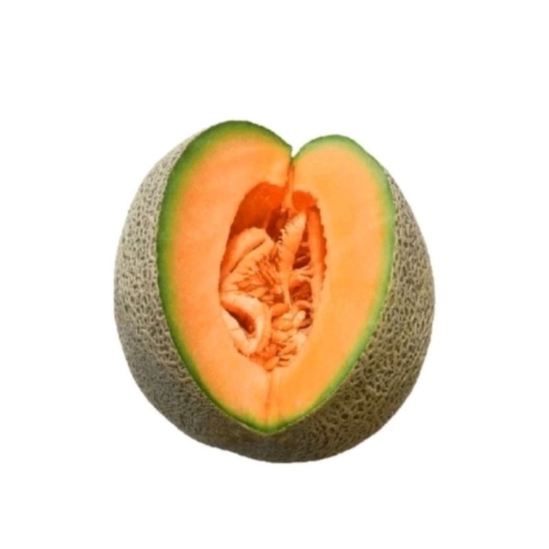 

MELON ROCK / MELON OREN / GARING & MANIS / JAMIN SEGAR