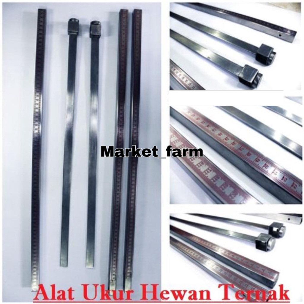 Alat Ukur Hewan Ternak Sapi / Tongkat Ukur Ternak / Tongkat Ukur Hewan