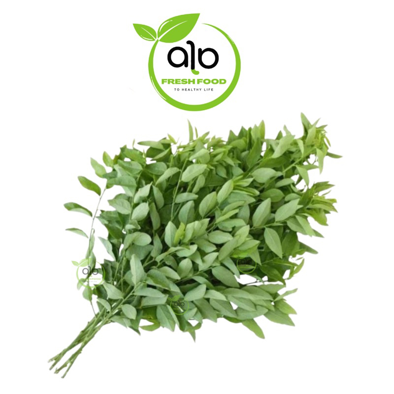 

Daun Katuk || 1 Ikat - ALO Fresh food