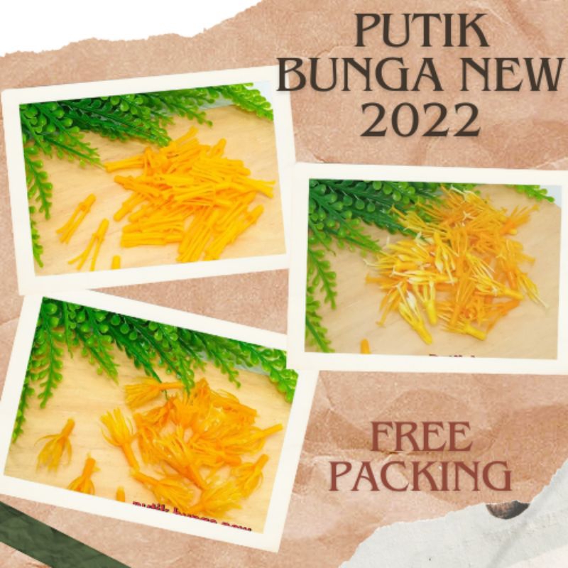 putik bunga plastik putik bunga imitasi putik bunga new 2022 putik bunga stoking putik bunga buket p