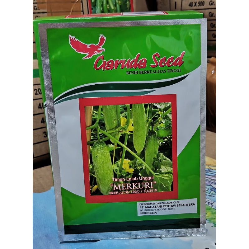 Timun lalap unggul (MERKURI)