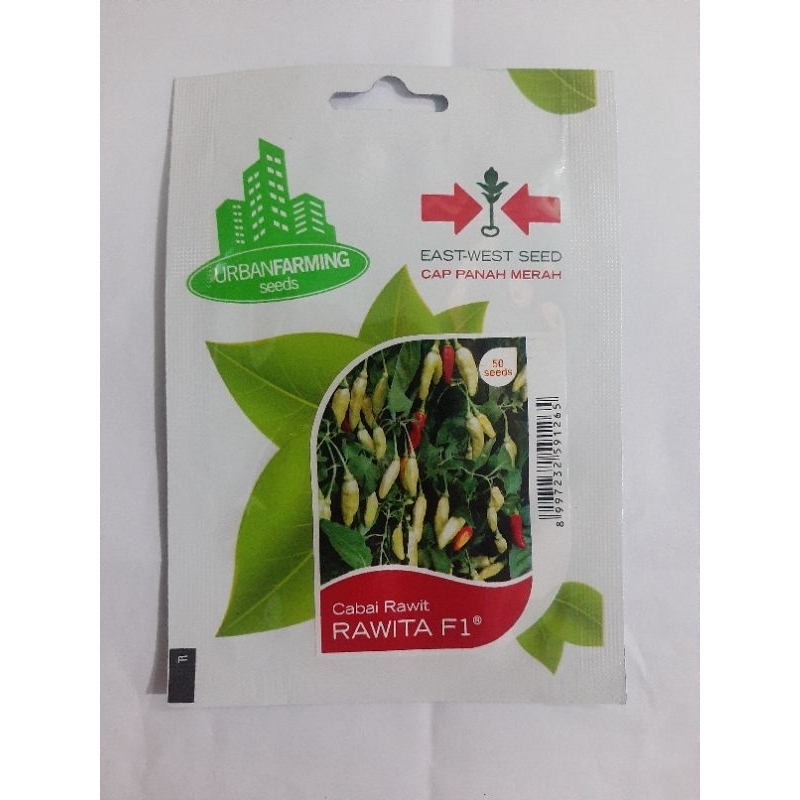 bibit cabe rawit rawita F1