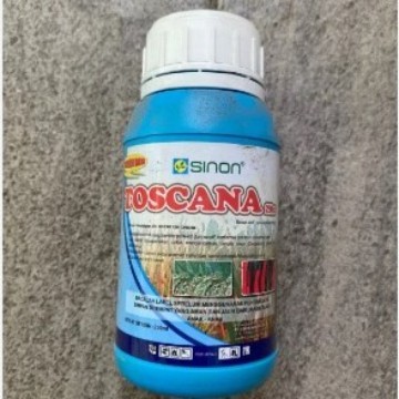 Toscana 250 Ml azoksistrobin fungisida sistemik protektif dan kuratif