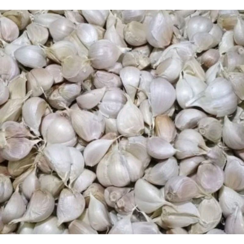 

bawang putih kating 500g