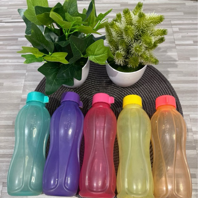 Eco Bottle Tupperware 500ml second paket usaha