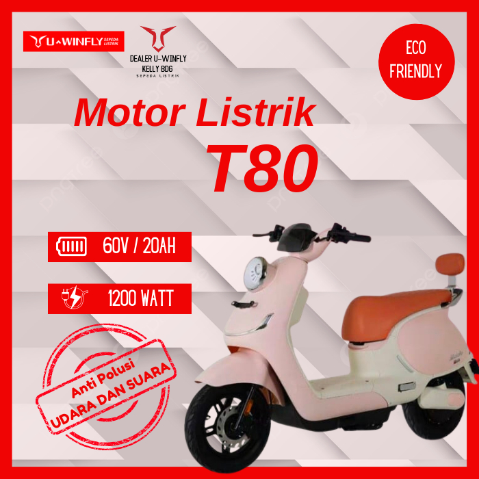 MOTOR LISTRIK UWINFLY T80