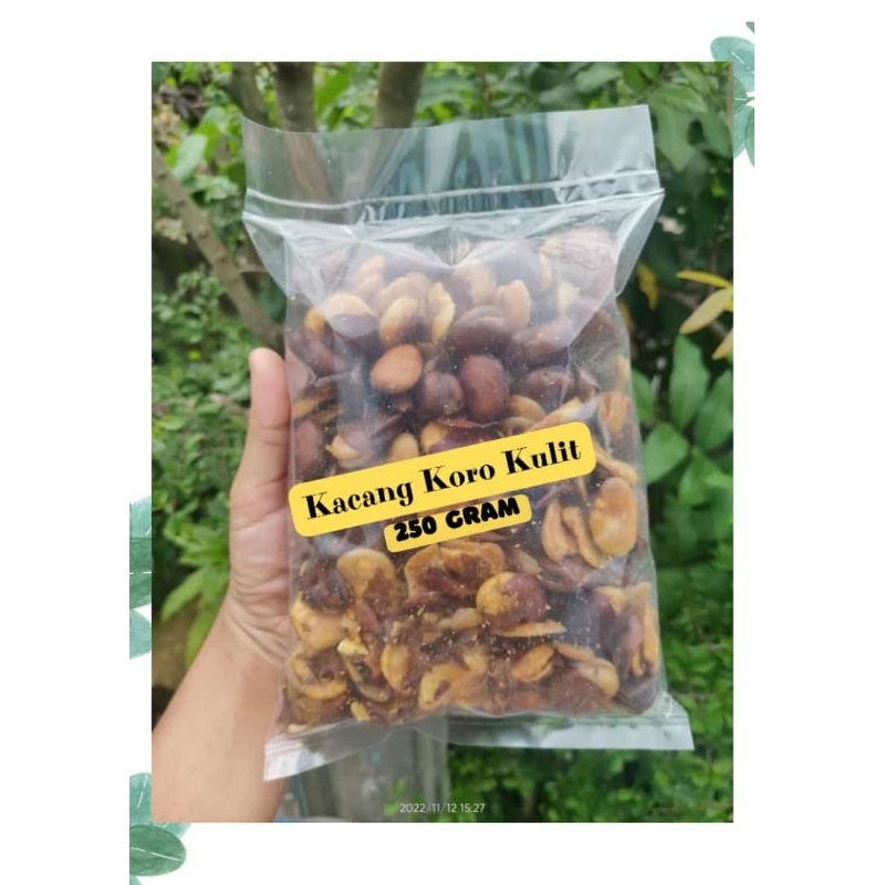 

kacang koro kulit