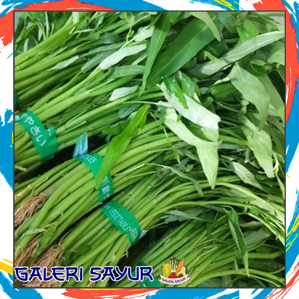

KIRIM INSTAN Kangkung Segar - Galeri Sayur