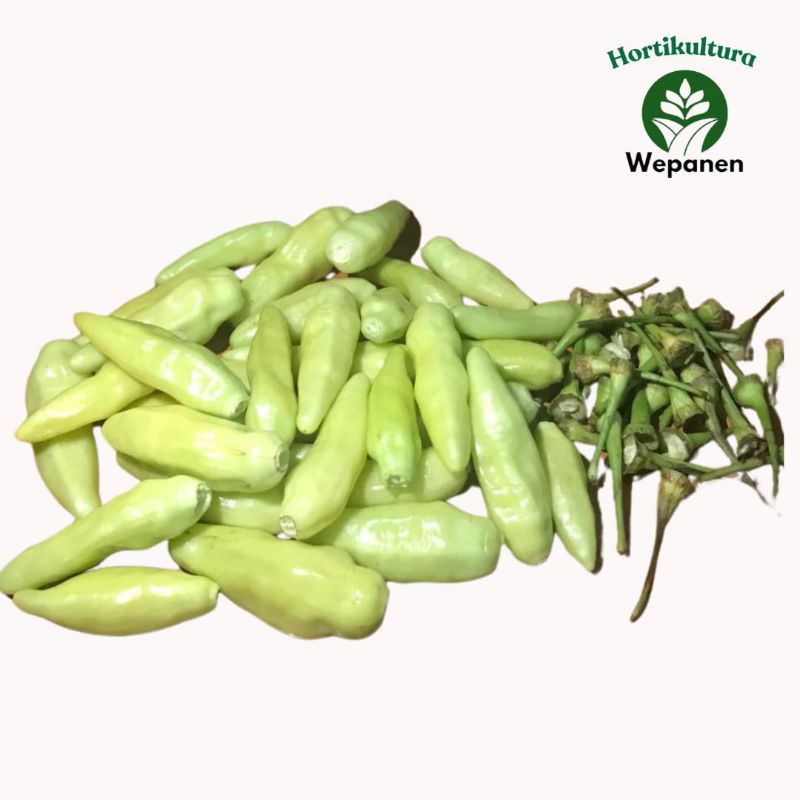 

Cabe Rawit Putih Petik Tanpa Tangkai 1kg