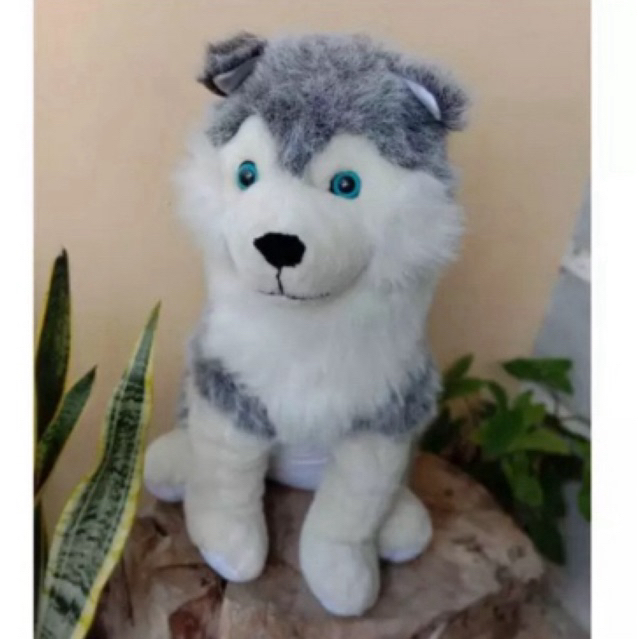 Boneka preloved guguk Singapore