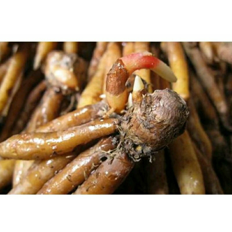 

TEMU KUNCI MASAK FRESH