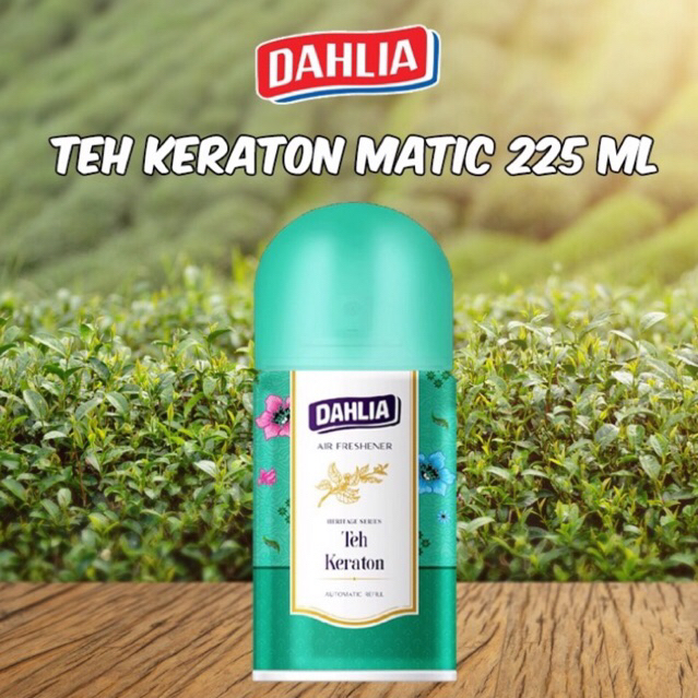 Dahlia Sprai / Dahlia Kaleng / Dahlia Semprot