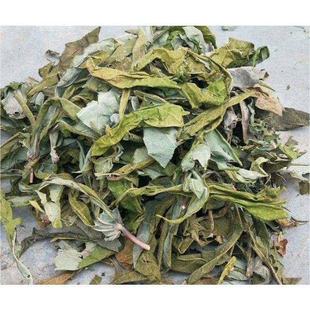 

Daun singkong kering alami / Natural dried cassava leaves
