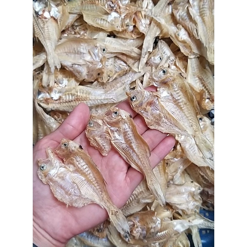 

Ikan Asin Putri Ayu Tipis Gurih 100gr / Ikan Asin Tawar Putri Ayu / Ikan Kering