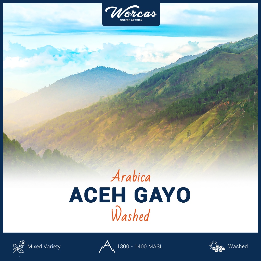 

PROMO en Bean Arabica Aceh Gayo 1 Kg Biji Kopi Mentah