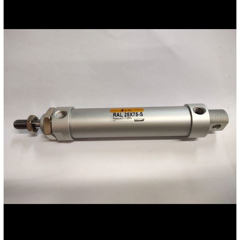 Mini cylinder pneumatic EMC RAL 25x75-S