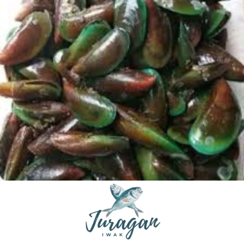 

Kerang Hijau (1 kg dan 500 gr)