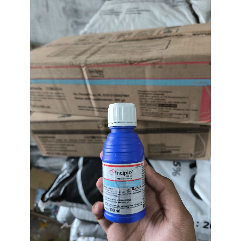 INCIPIO/INSEKTISIDA UNTUK HAMA PENGGEREK BATANG