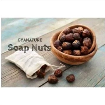 

Buah lerak daging tanpa biji dan ada biji (utuh) dengan busa melimpah 1kg (2.a)