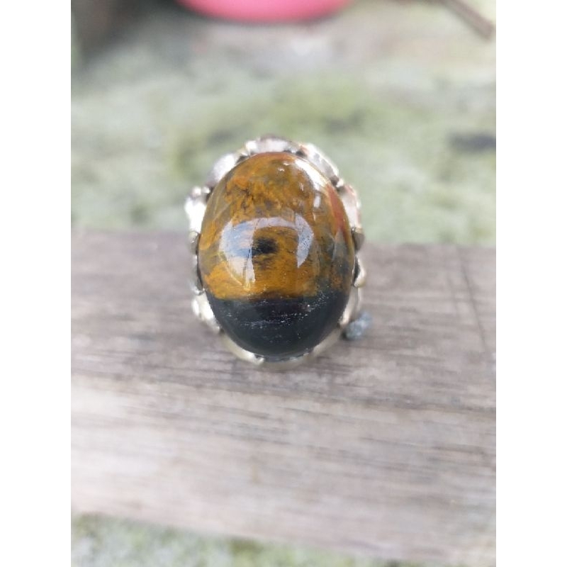 natural batu fosil kelor