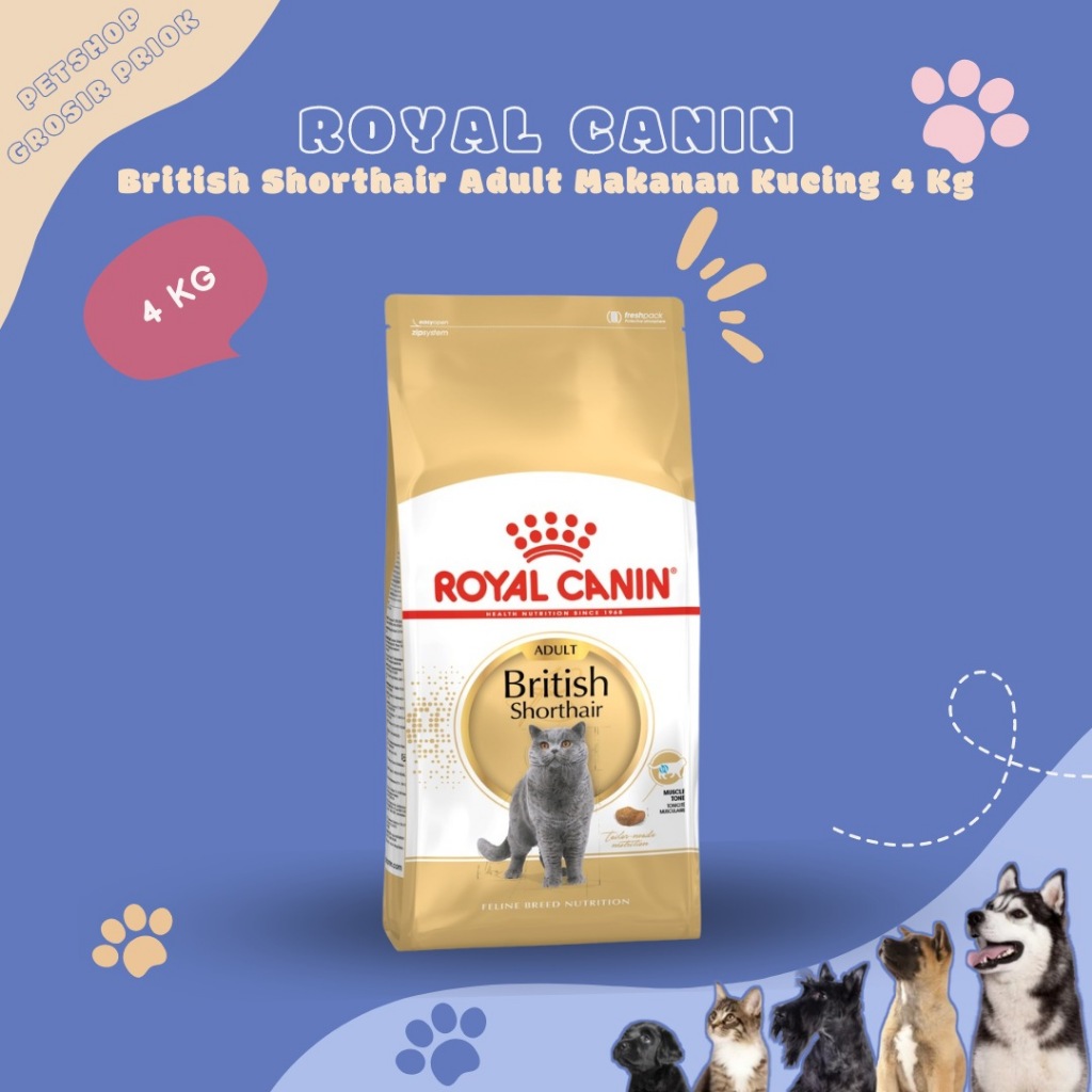 ROYAL CANIN British Shorthair Adult Dry Makanan Kucing Dewasa 4 Kg