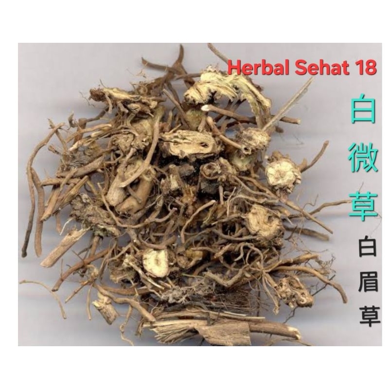 

50 gram Bai Wei Cao 白微草 Bai Mei Cao 白眉草 Cynanchi Atrati Radix