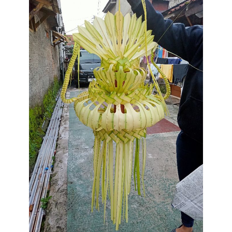 janur kuning asli segar+ nama janur