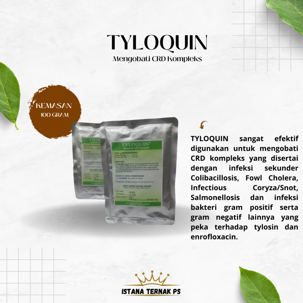 Tyloquin 100 gram mengobati CRD kompleks - Obat ayam saluran pencernaan dan pernafasan