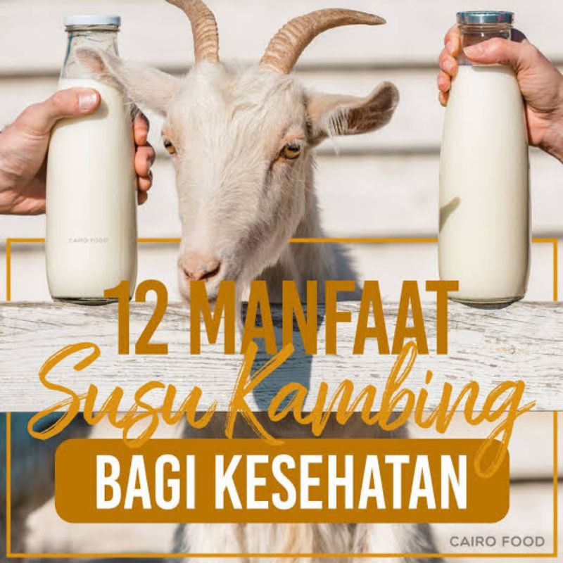 

Susu Kambing Etawa Murni Segar Baru Di Perah Pengiriman Beku