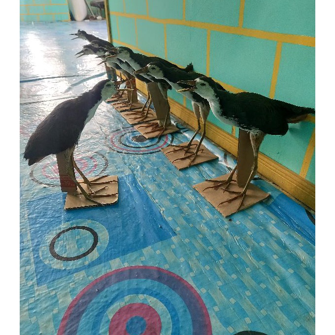 Hemat patung ruak ruak