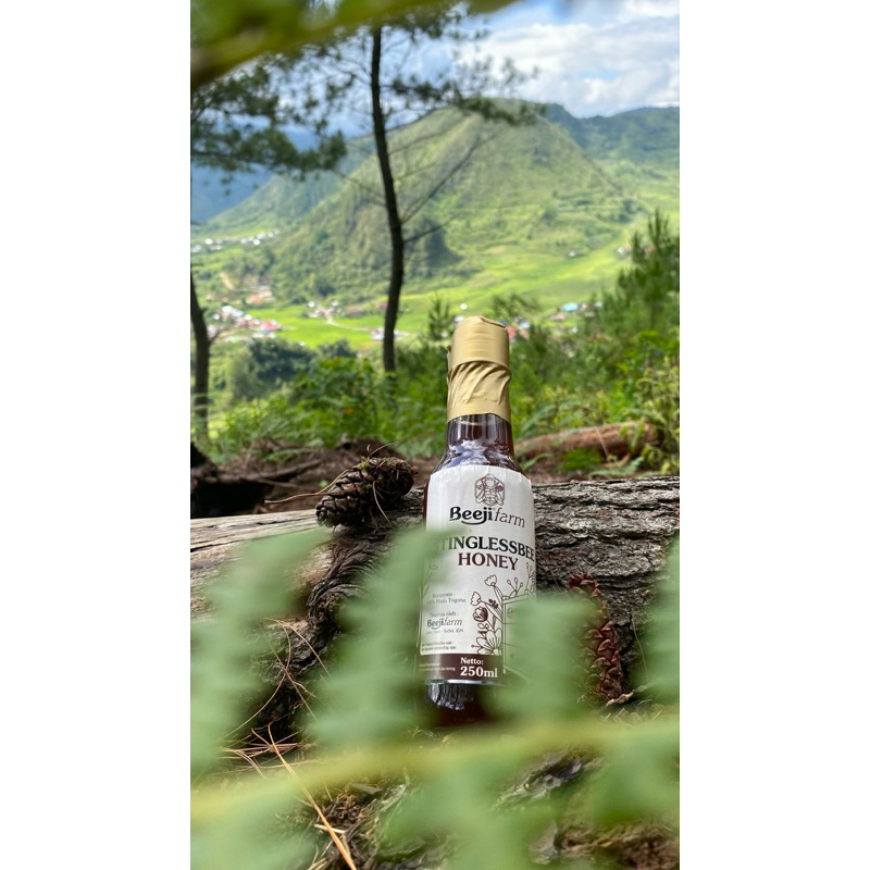 

Madu beeji farm / madu lebah trigona 100% Asli / madu kesehatan