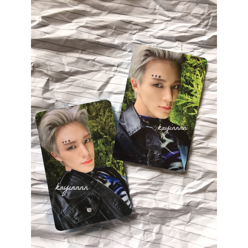 jeno istj alucard pob everline