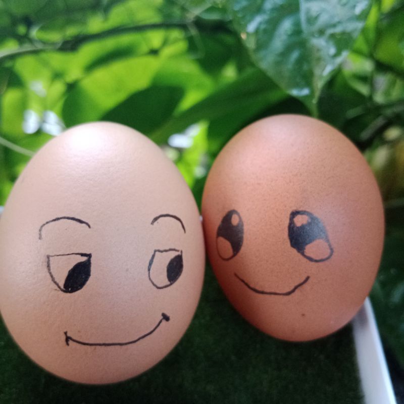 

telur lukis bijian
