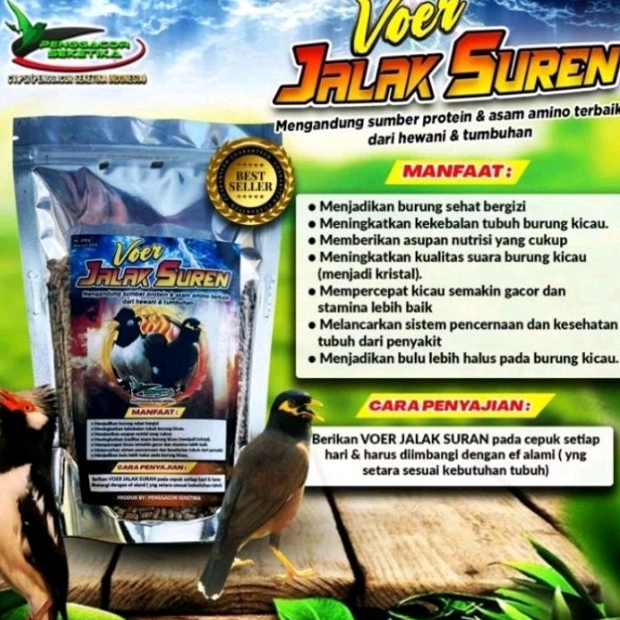 voer jalak suren