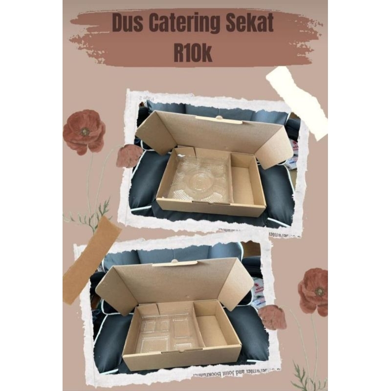Box catering sekat coklat R10