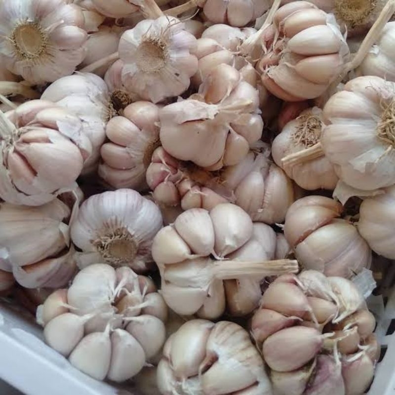 

Bawang Putih, Bawang Merah, Bombay (Timbangan 250gr)