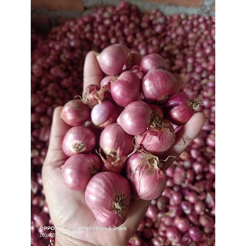 

Bawang merah super B