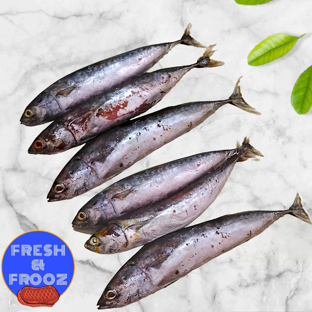 

Ikan tongkol segar / ikan tongkol bebas gatal / best quality / ikan tongkol frozen 1 kg