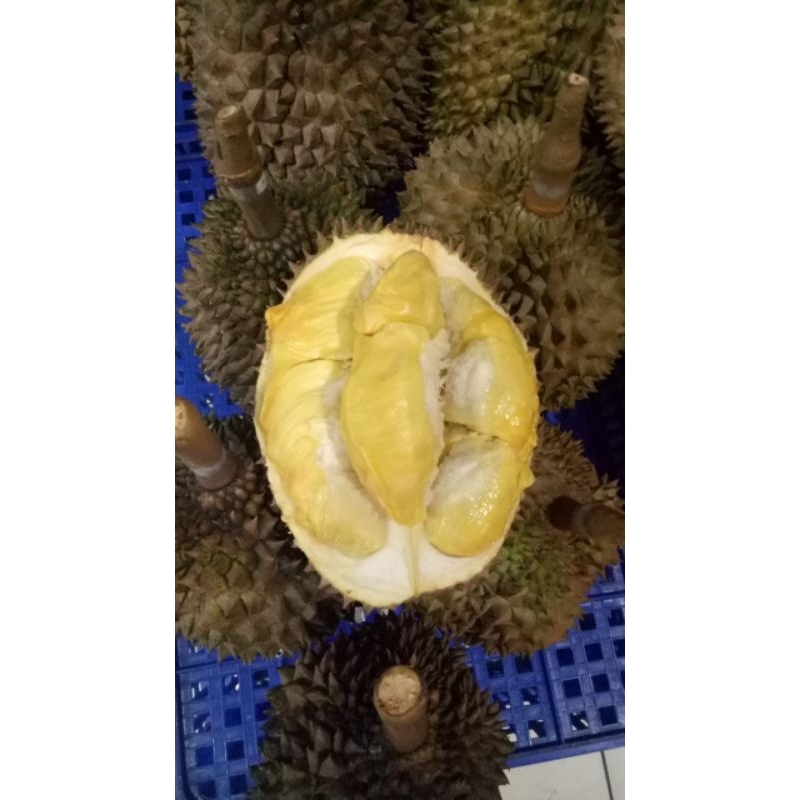 

Durian Utuh Bawor 3kg