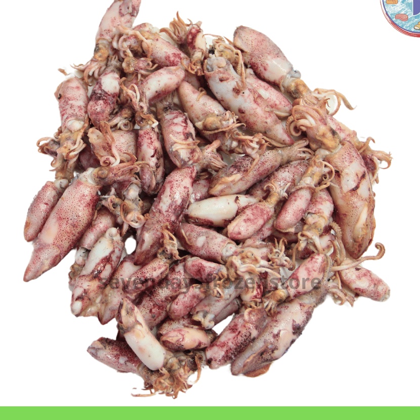 

HJ6 Cumi Asin Baby Kecil Utuh Premium Beku Frozen