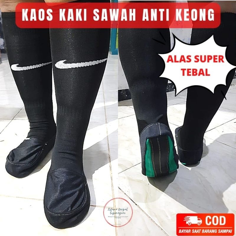 Kaos Kaki Anti keong