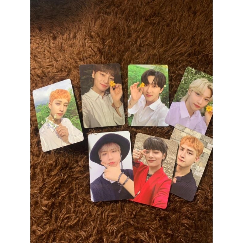 PC Official StrayKids
