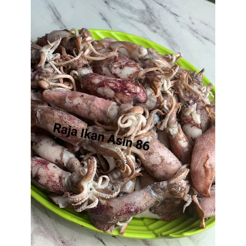 

Cumi Rebus Asin Kualitas Super Premium / Sotong Jarum / Cumi Rebus Asin Jarum