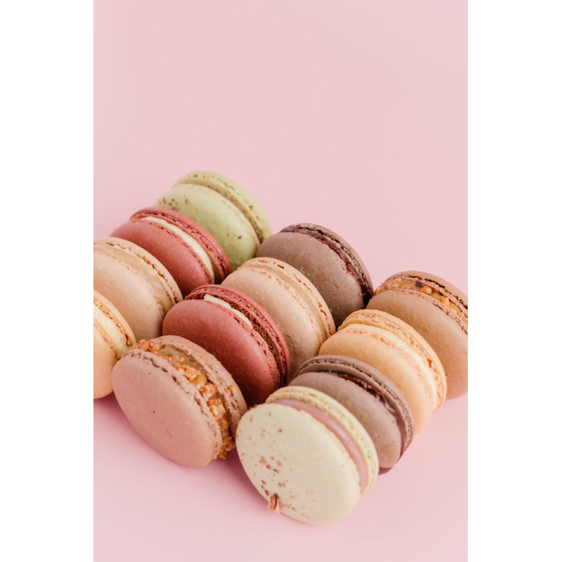 

Macaron Special Bloomery Package of 4