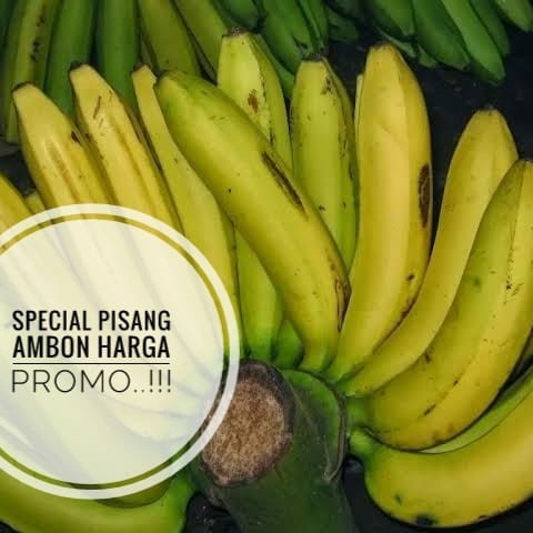

Pisang Ambon Manis Asli Lampung-3kg