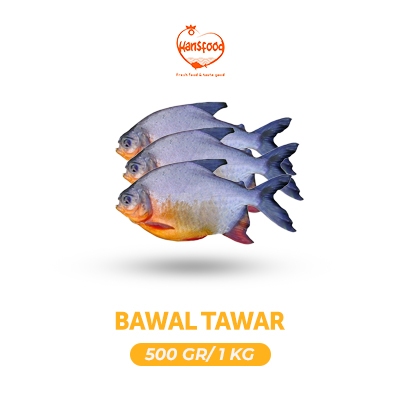 

Ikan Bawal Tawar fresh dan frozen 500 gr & 1 kg