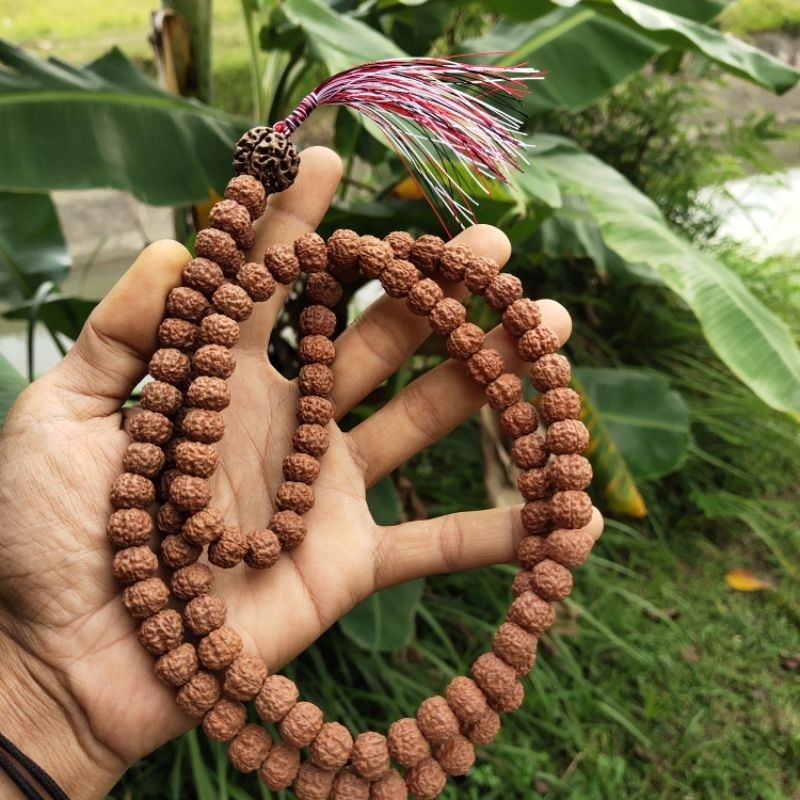 RUDRAKSHA MUKHI 6 ( 108 +1)